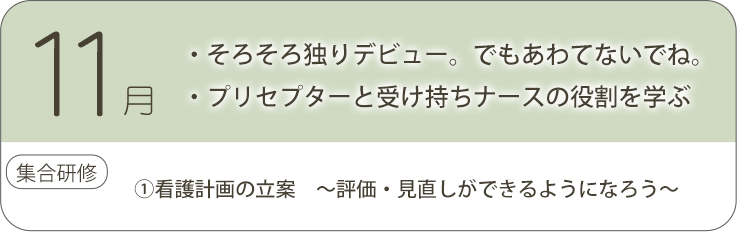 11月